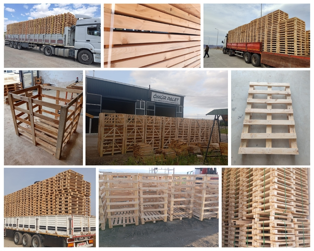Rijsenhout Houten Kisten, Europallets Groothandel Kopen